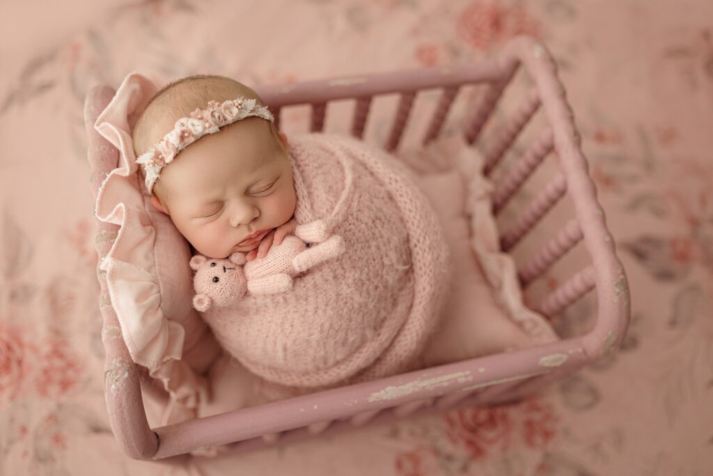 Jacksonville newborn photography prices