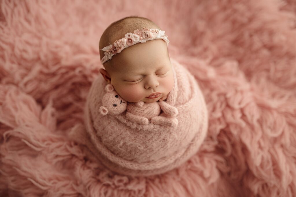 Jacksonville newborn photography prices
